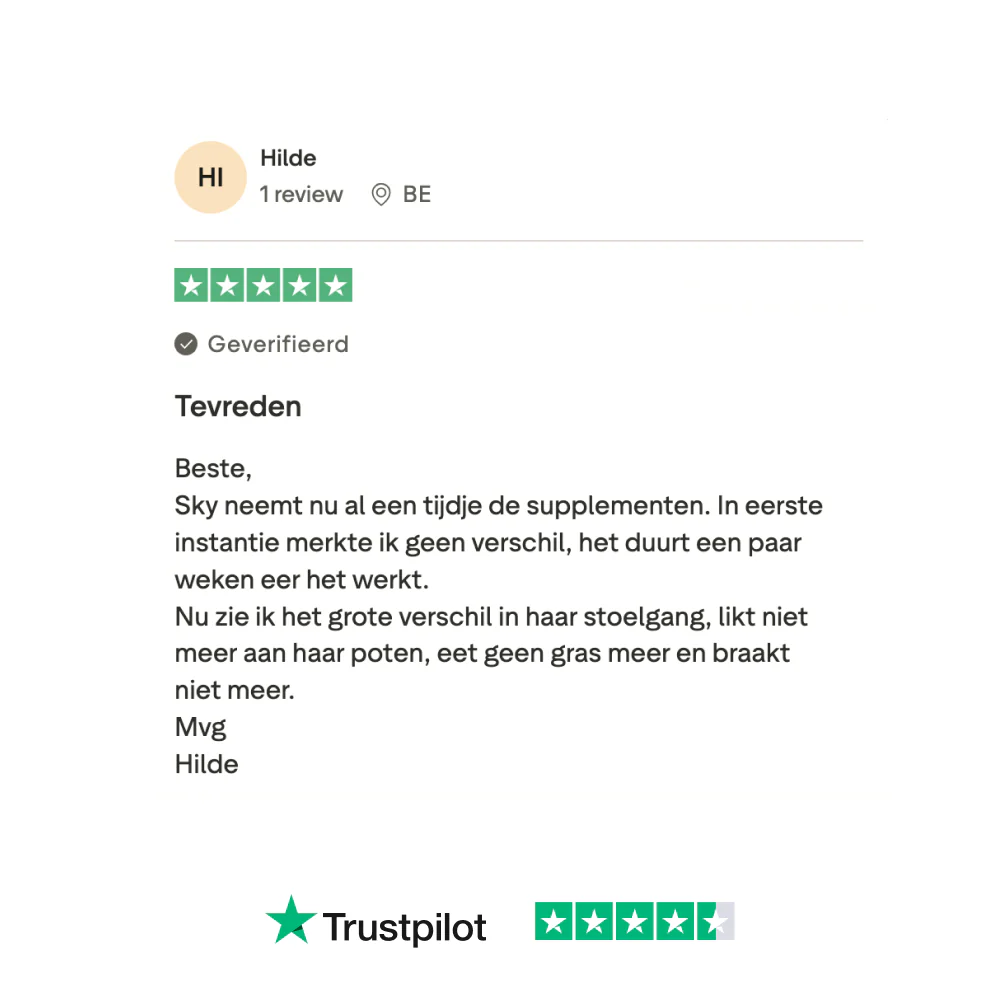 Probiotica Forte 🌿 60 snoepjes - Image 10