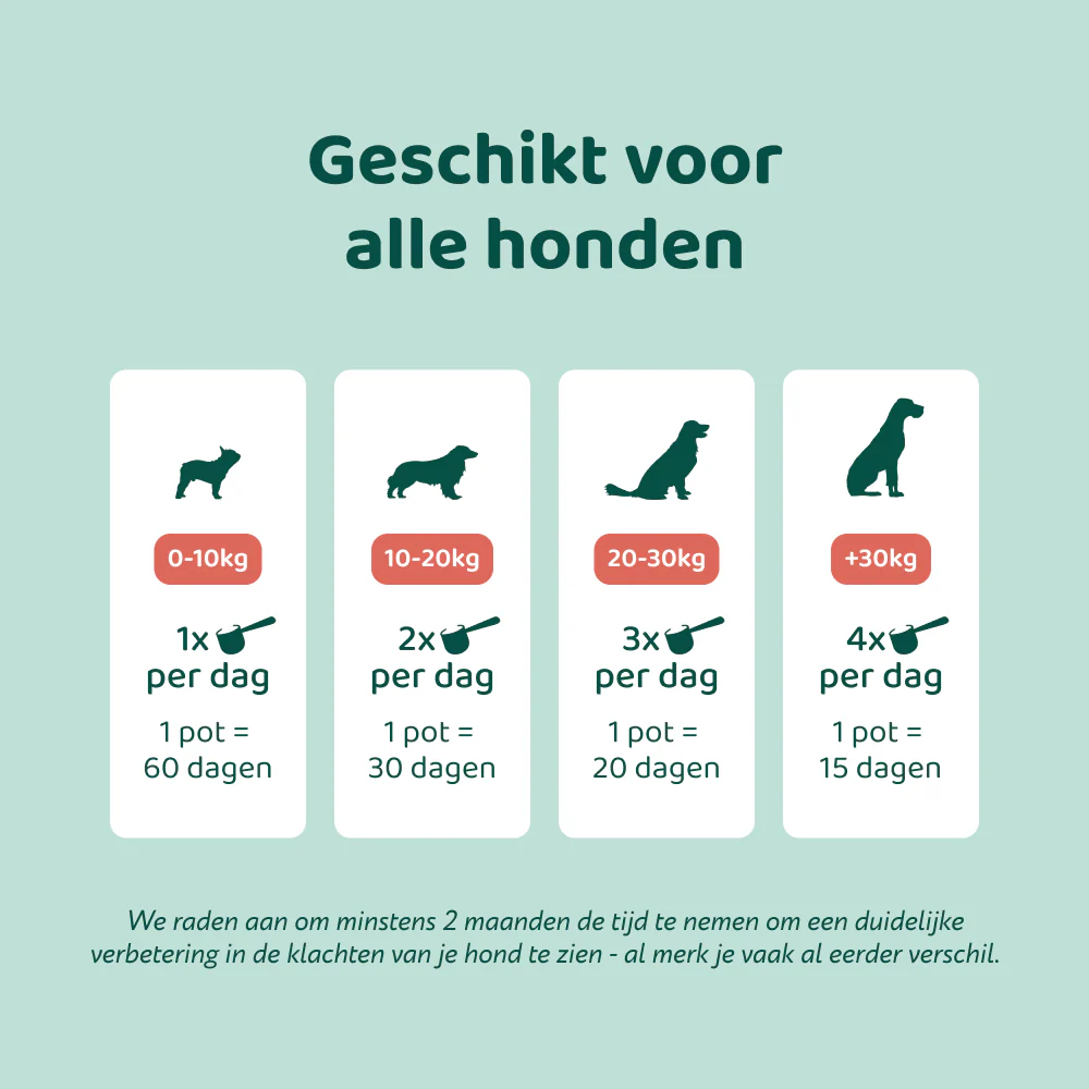 Probiotica Forte Poeder 🌿 60 schepjes - Image 5