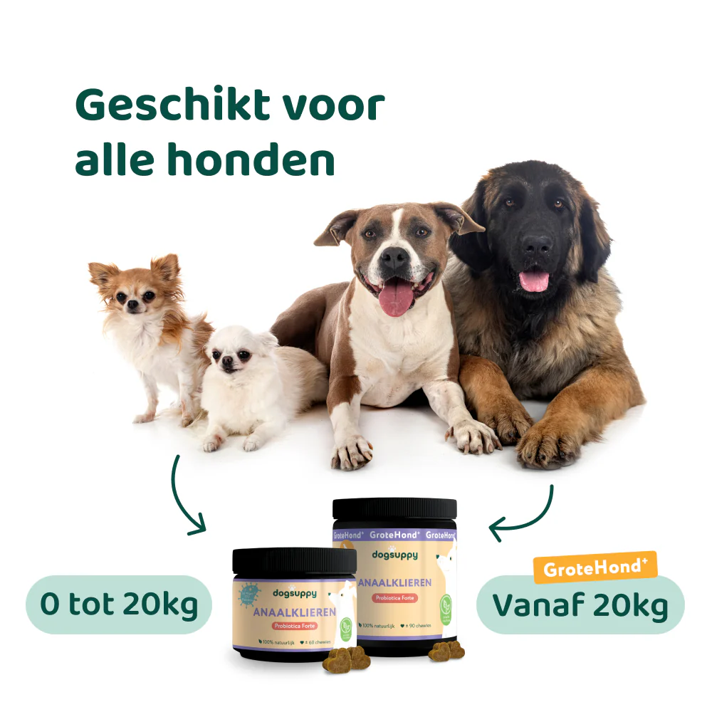 Anaalklieren Probiotica Forte 🌿 60 snoepjes - Image 7