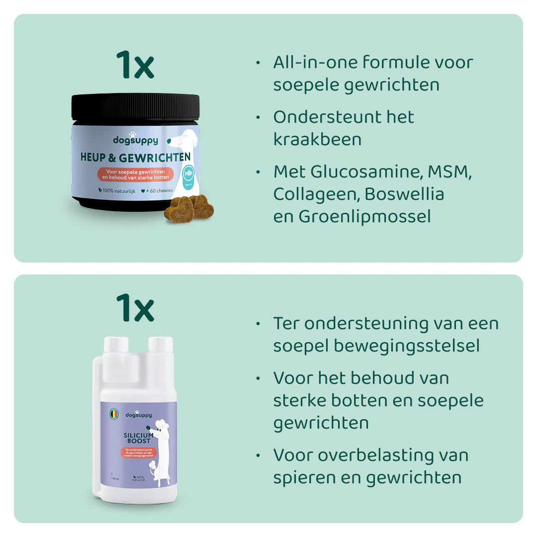 Miniatuur 2
