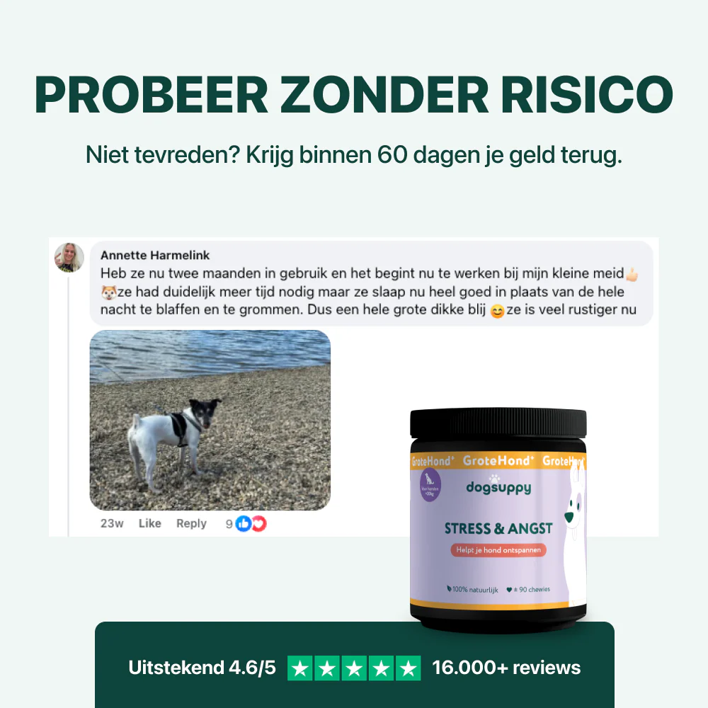 Stress & Angst GroteHond⁺ | 90 snoepjes - Image 6