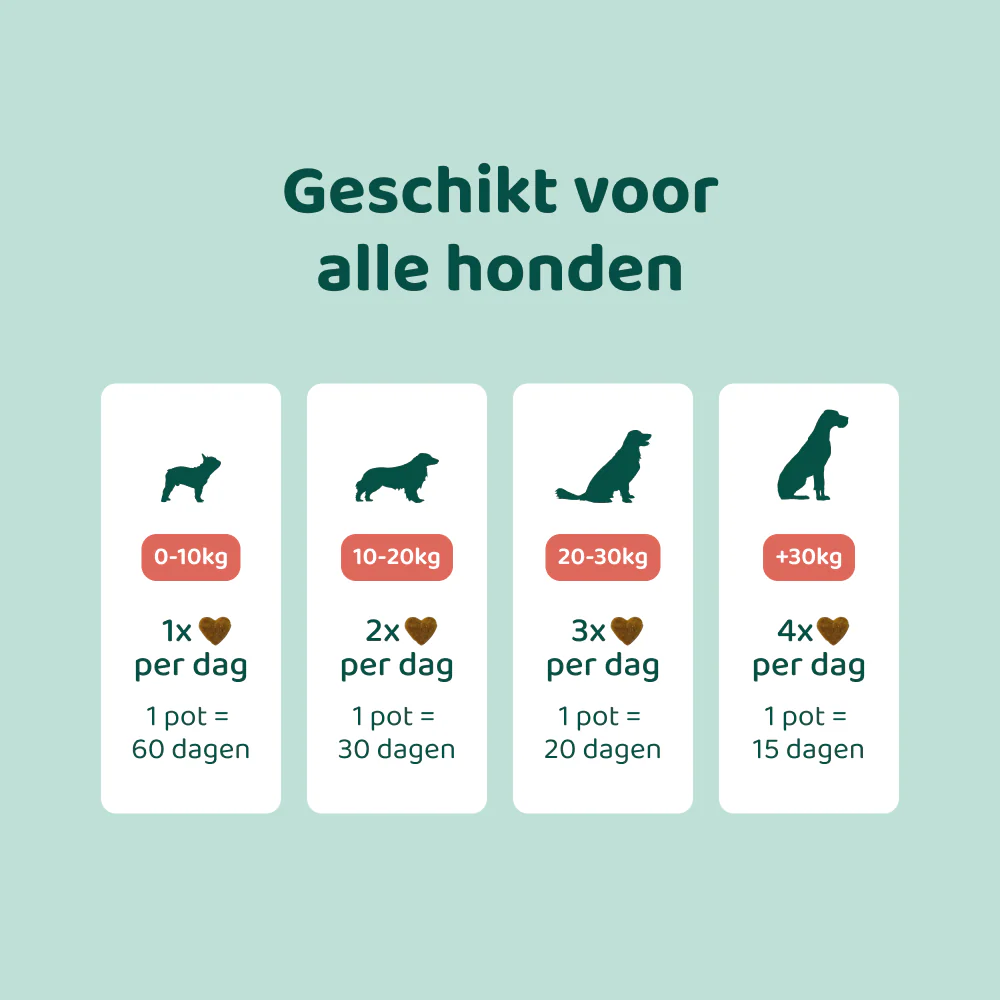 Anti-Vlooien & Teken 🌿 60 snoepjes - Image 4